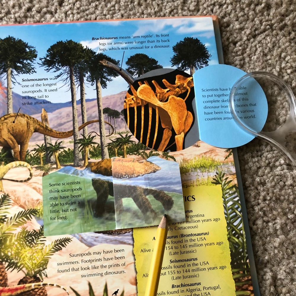 Dinosaurs Octagonal Box Set - Picture 4 of 11